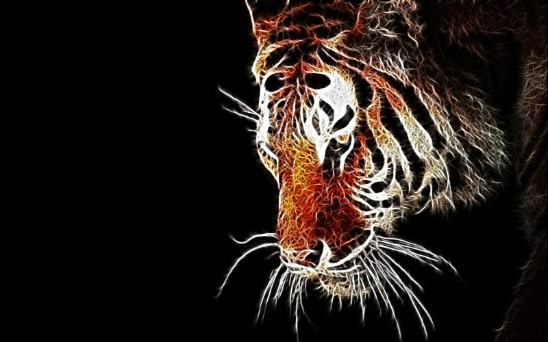 fractal tiger head art