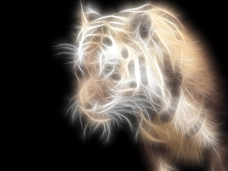 fractal tiger head