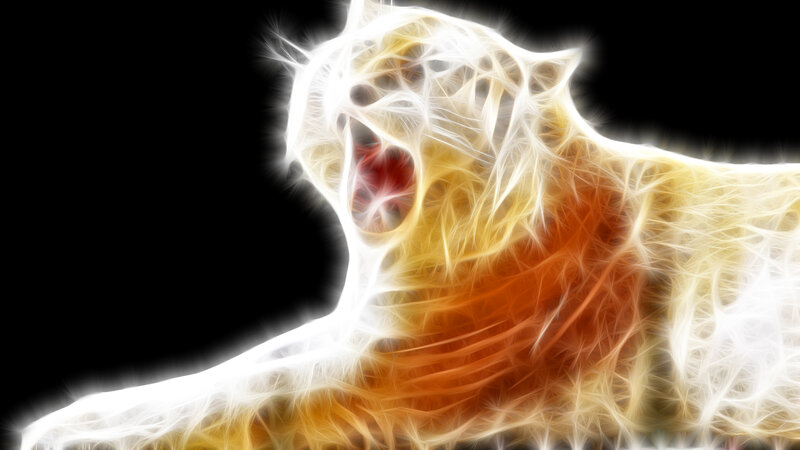 fractal tiger in motion