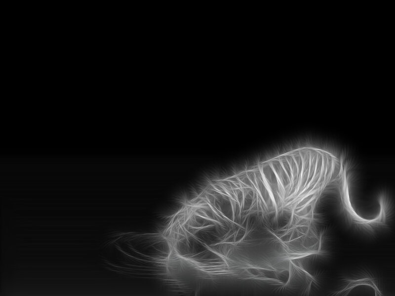fractal tiger on black background