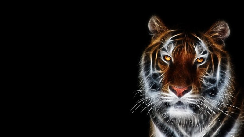 fractal tiger portrait