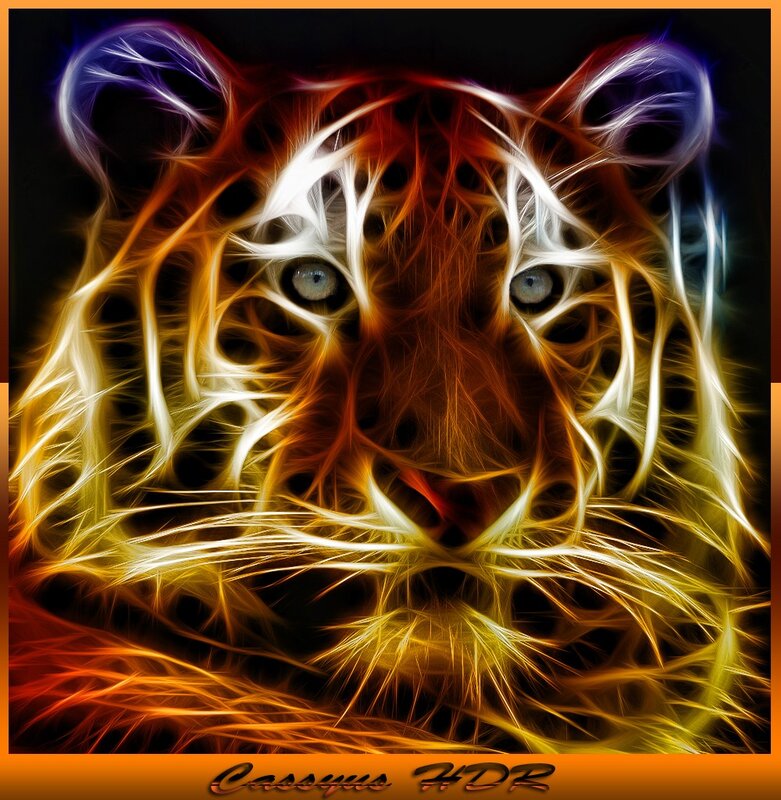 fractal tiger portrait