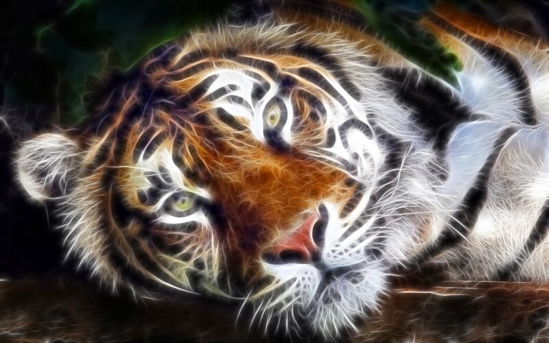 fractal tiger portrait