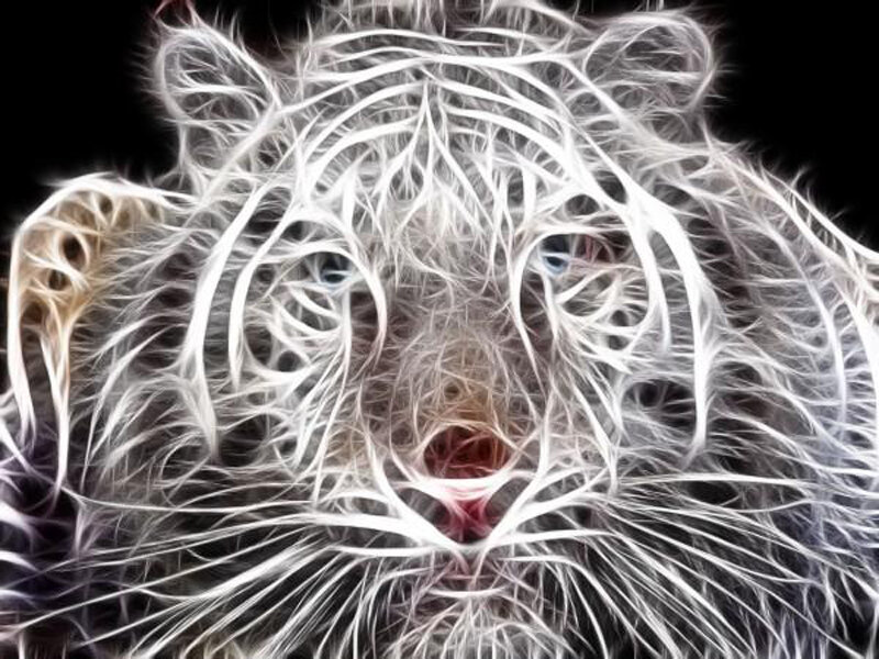 fractal tiger portrait