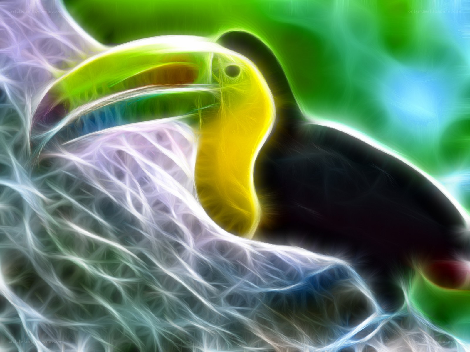 Fractal toucan portrait