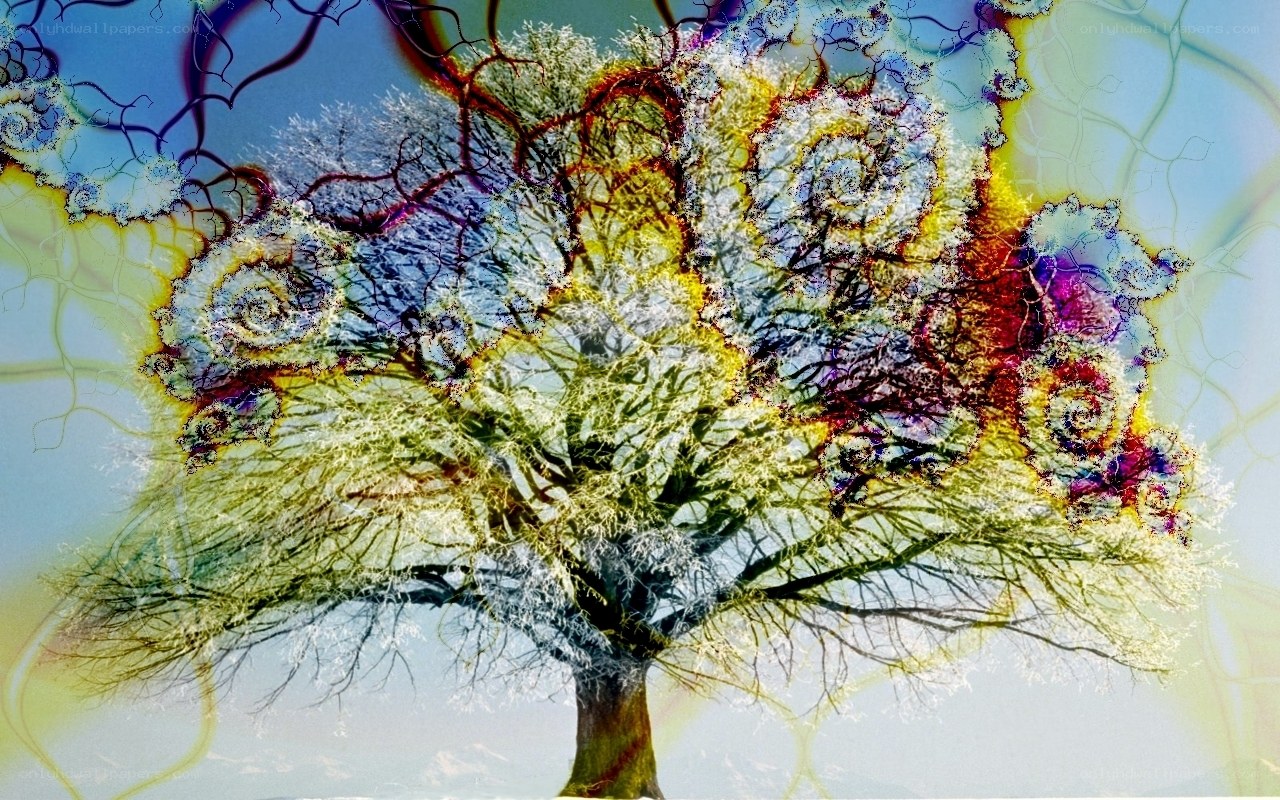 fractal tree art