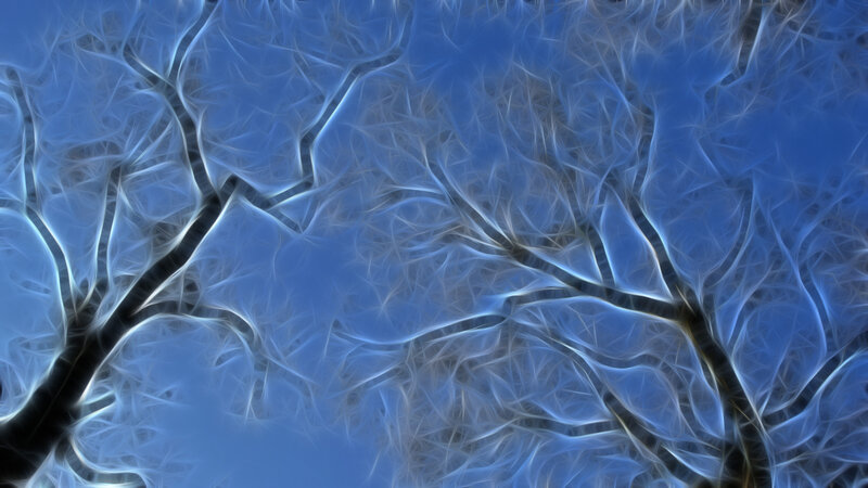 Fractal tree branches