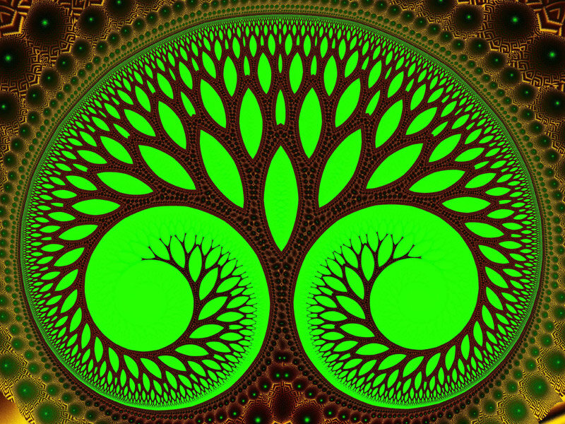 fractal tree of life