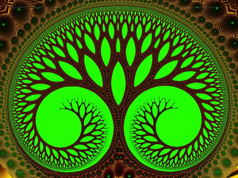 fractal tree of life