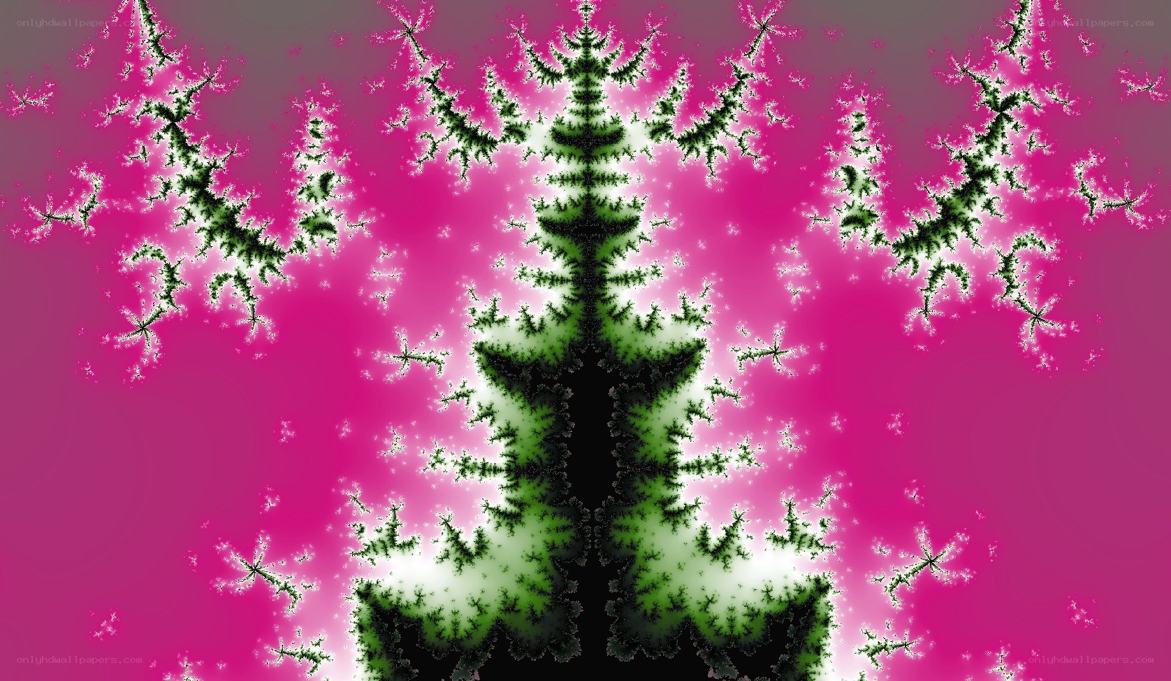 fractal tree pattern