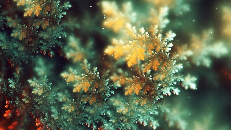 Fractal Tree Patterns