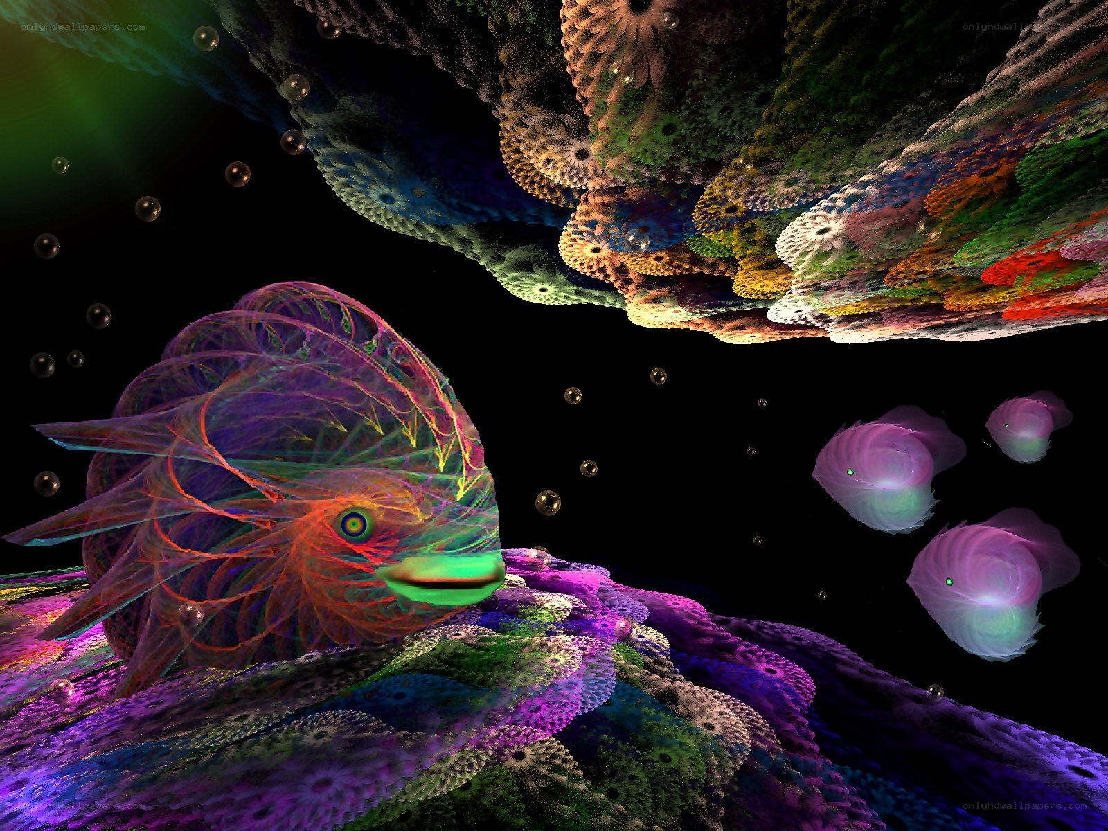 fractal underwater fantasy