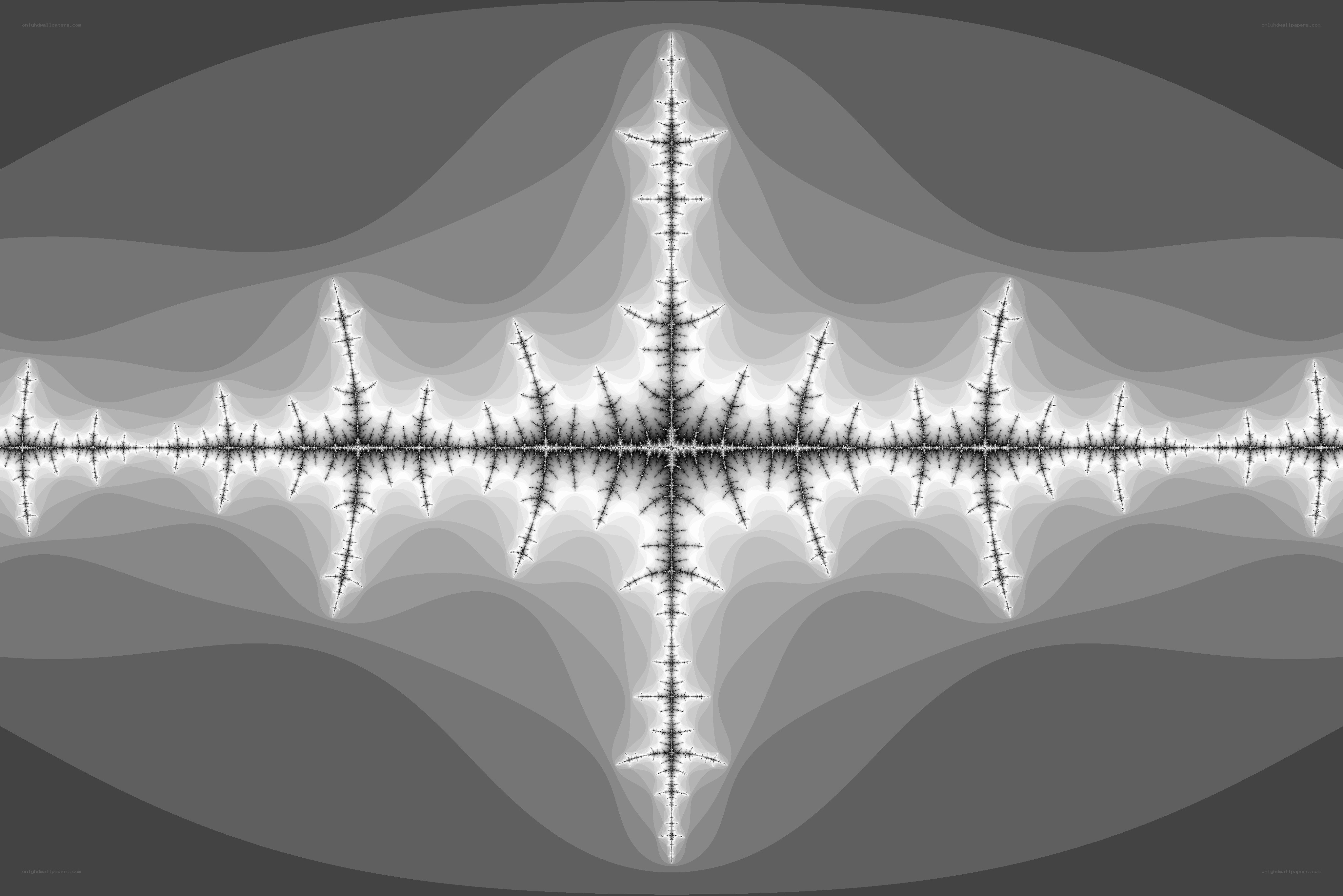 fractal wave pattern