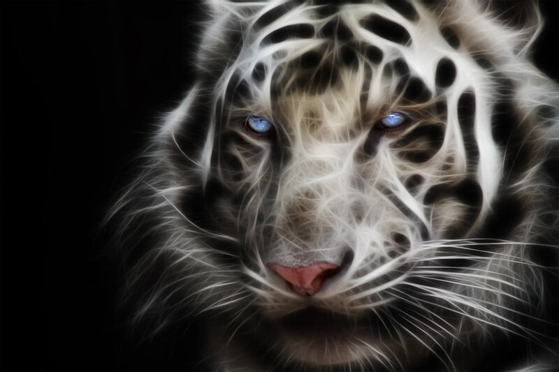 fractal white tiger portrait