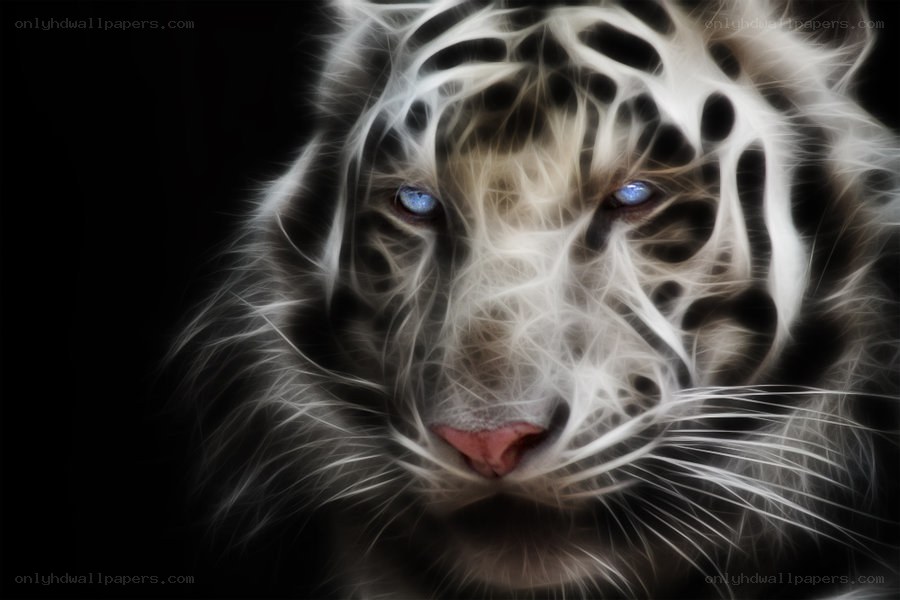 fractal white tiger portrait