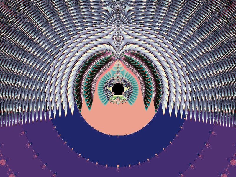 Fractal wing pattern