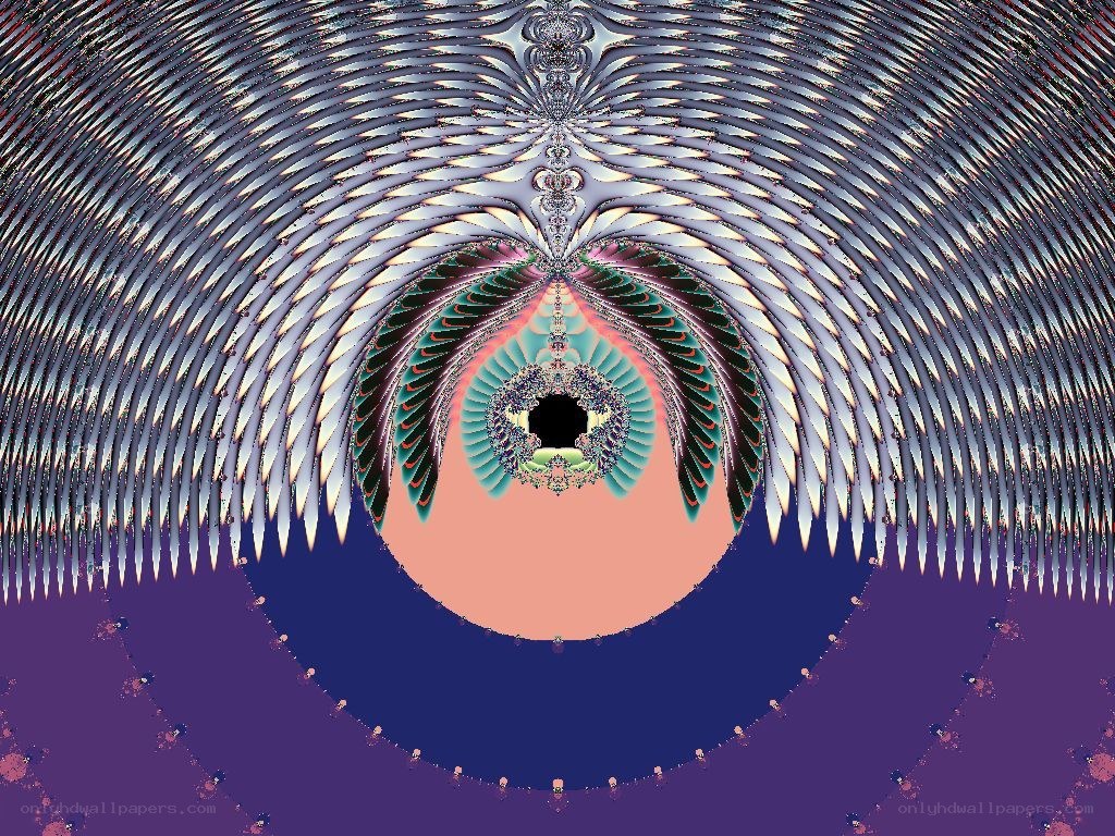Fractal wing pattern
