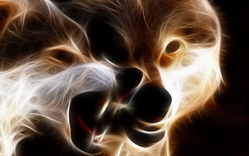 fractal wolf face
