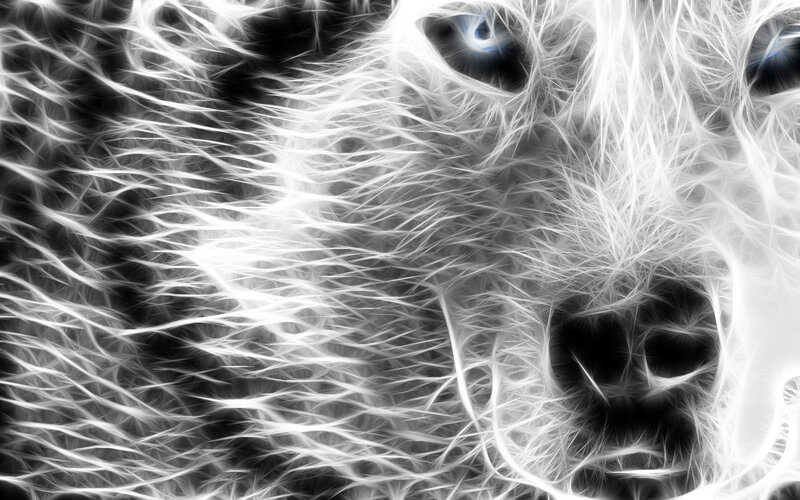 fractal wolf face