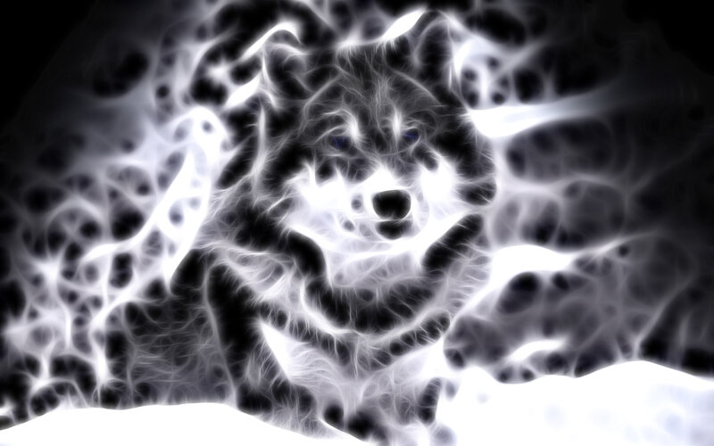 Fractal Wolf Head — Black