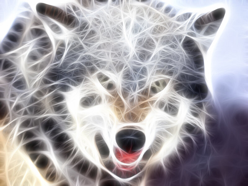 fractal wolf head