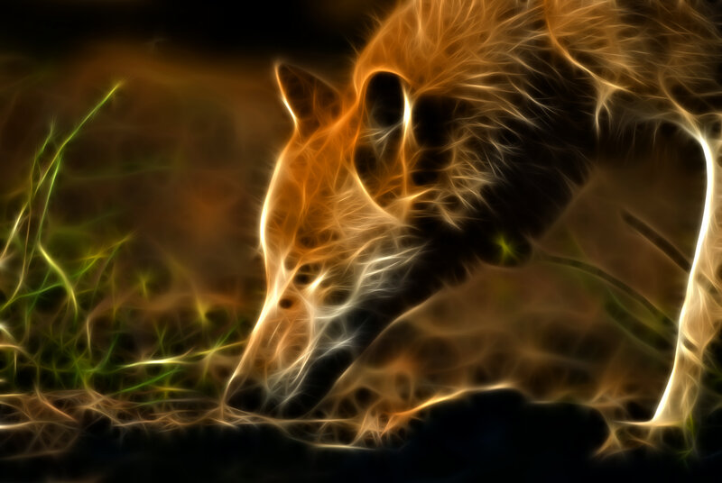 fractal wolf in grass