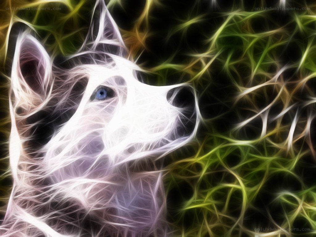 fractal wolf portrait