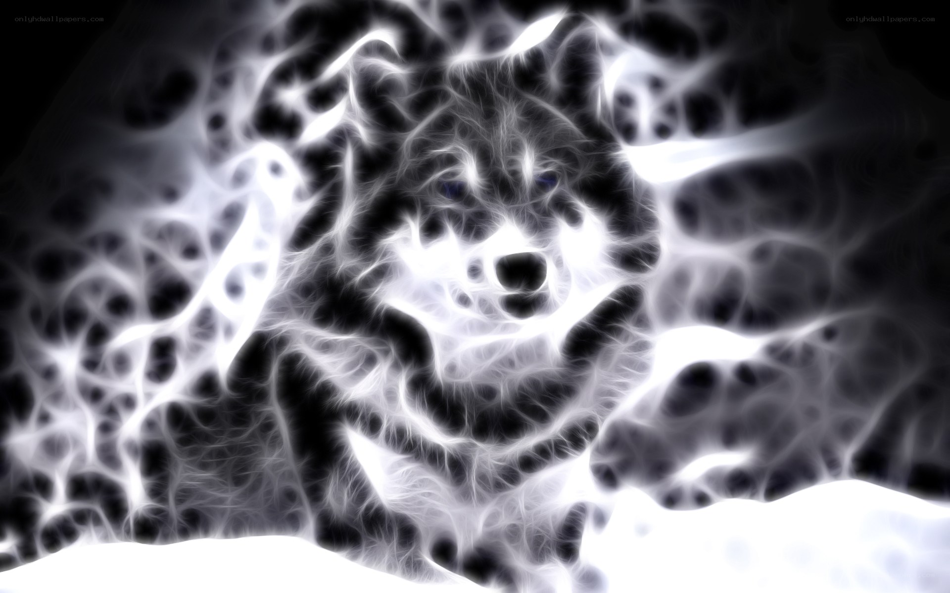 fractal wolf portrait