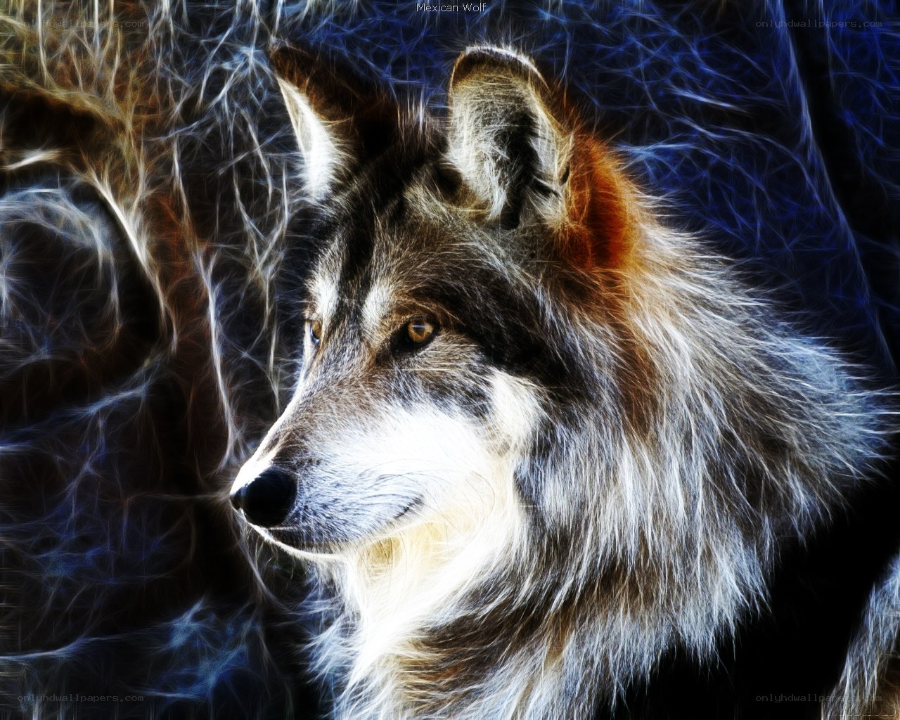 fractal wolf portrait