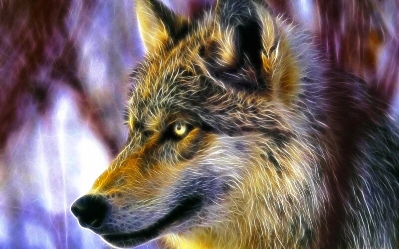 fractal wolf portrait