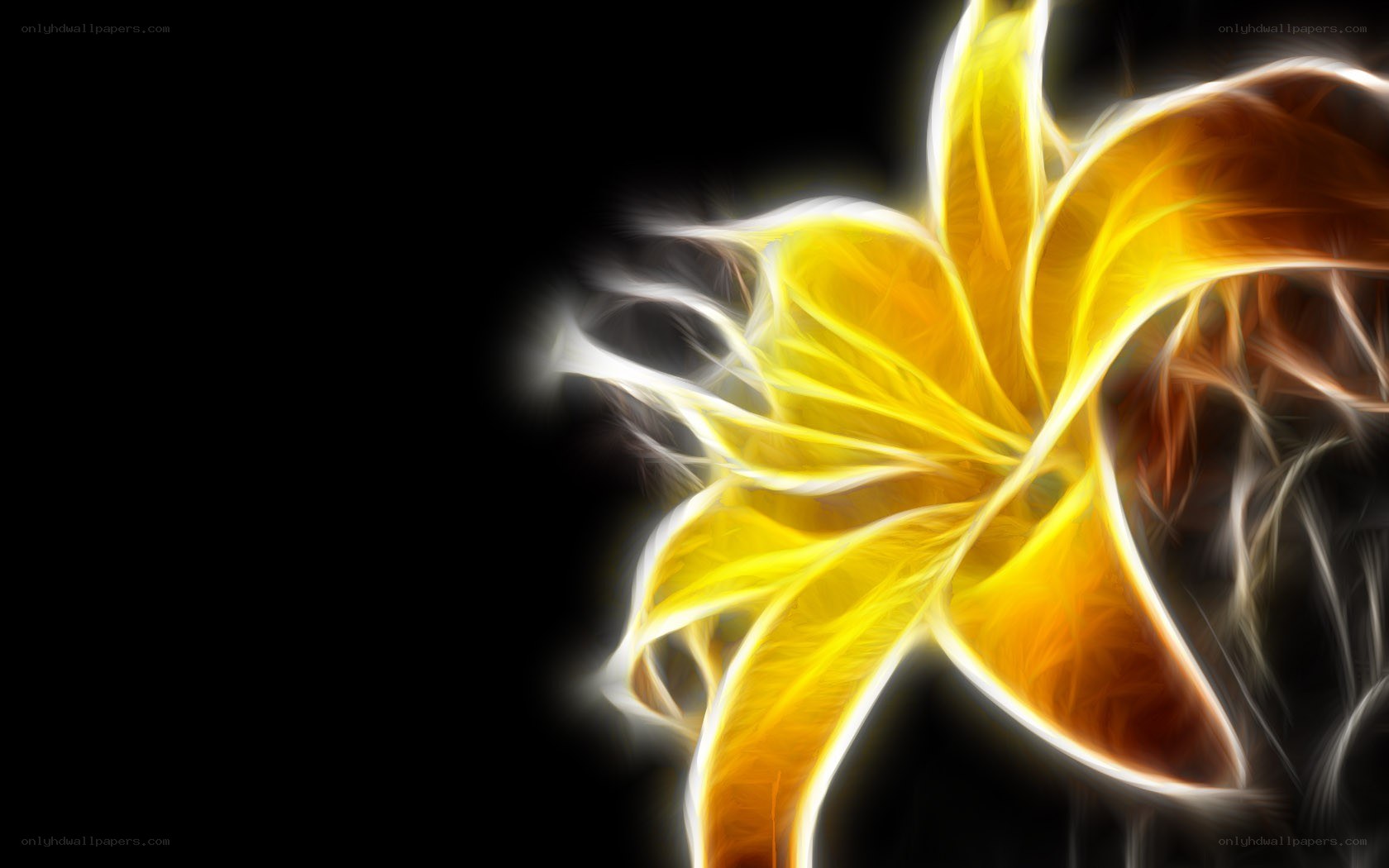 fractal yellow lily flower