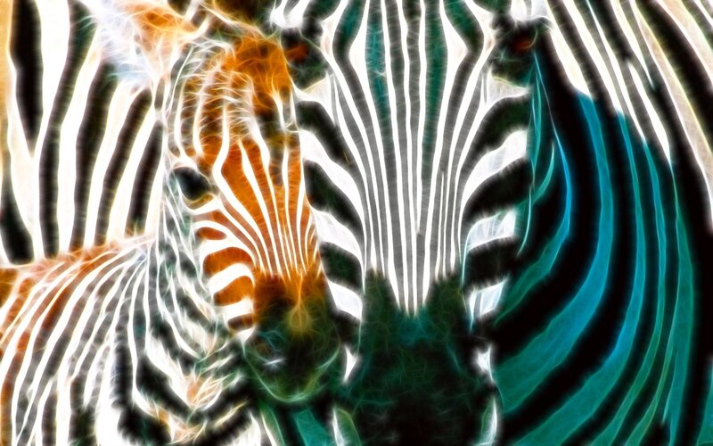 fractal zebra art