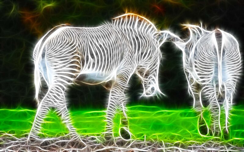 fractal zebras on green field