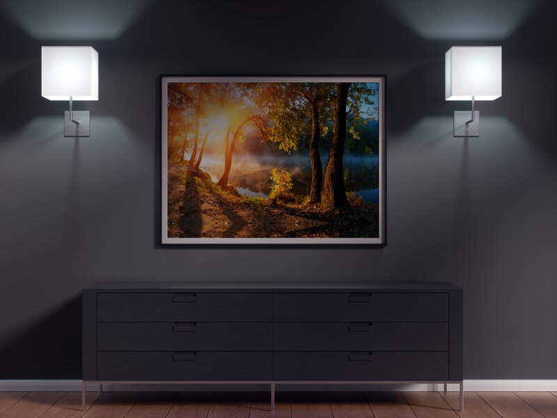 Framed Forest Landscape