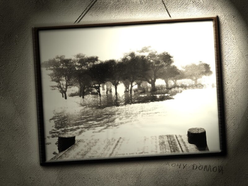 Framed photo of a flooded landscape