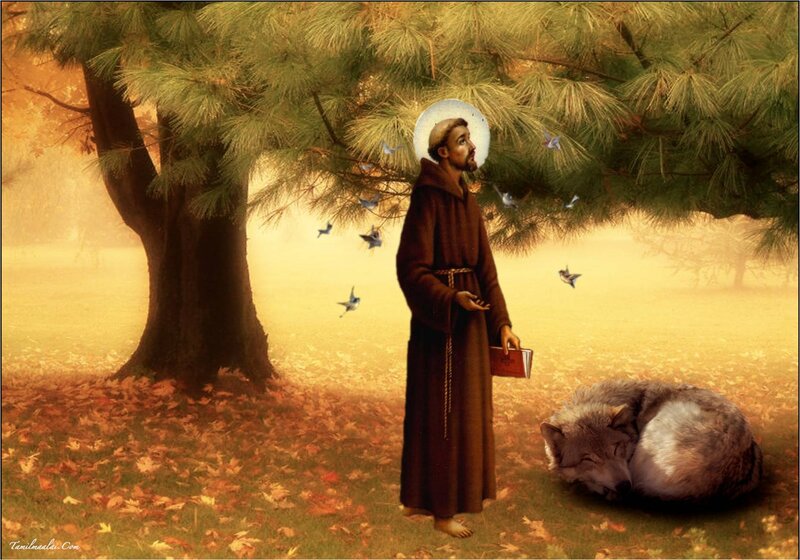 Franciscan Monk with Wolf — Brown