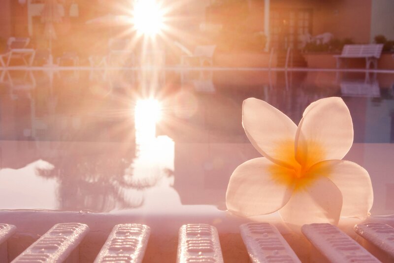 Frangipani Flower by Pool