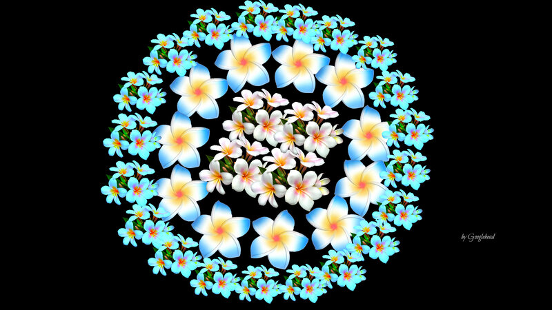 Frangipani Flower Mandala