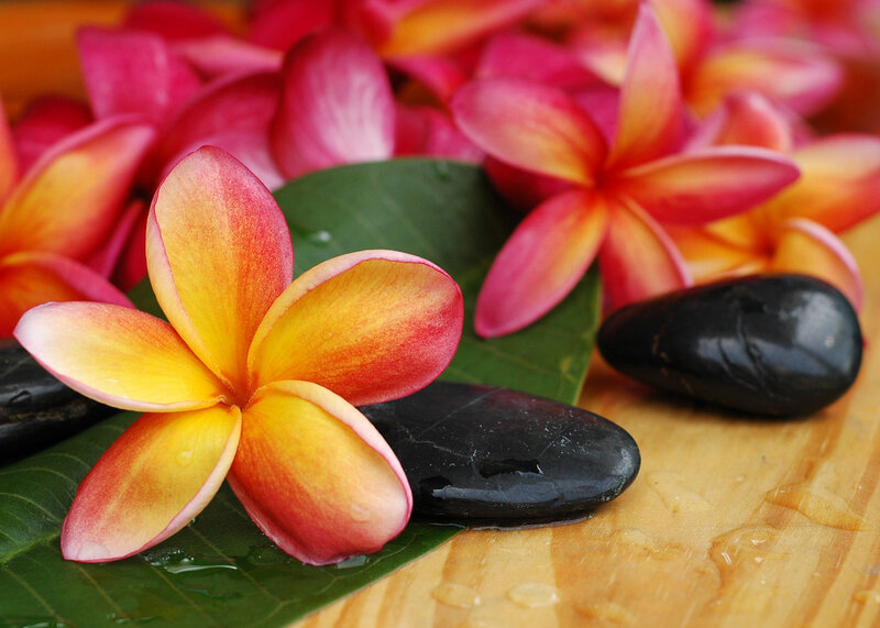 Frangipani Flower on Leaf
