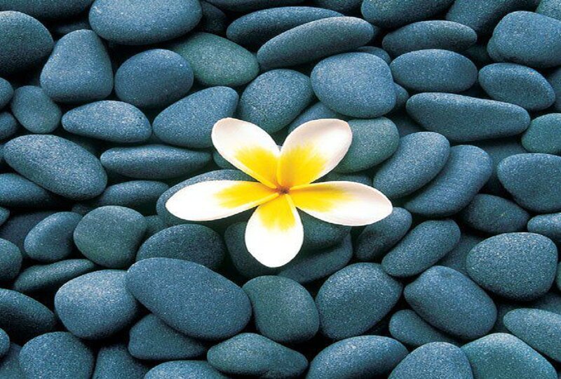 Frangipani Flower on Pebbles — Blue