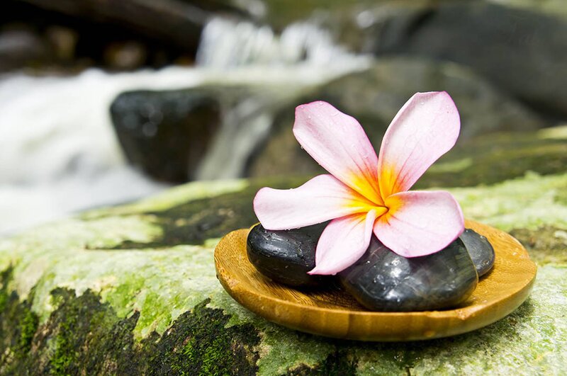 Frangipani Flower on Stones
