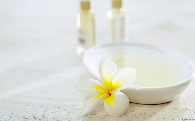 Frangipani Flower on Table