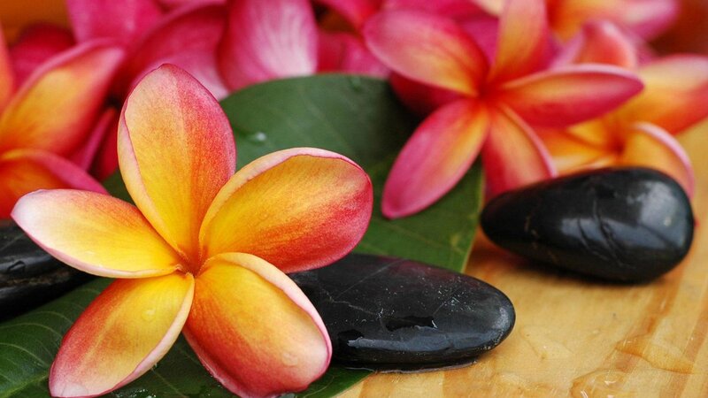 Frangipani Flower with Stones