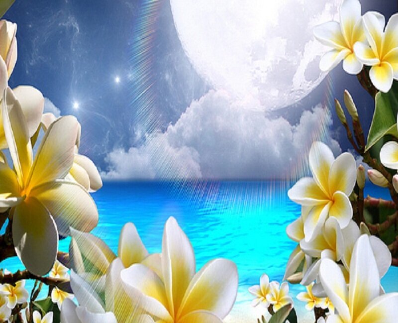 Frangipani Flowers by Ocean