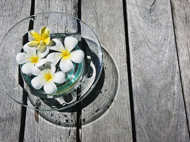 Frangipani Flowers in Bowl