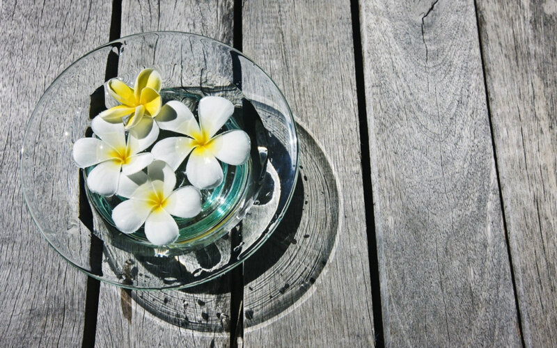 Frangipani Flowers in Bowl — White, Serene