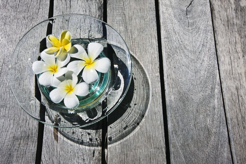Frangipani Flowers in Bowl — White