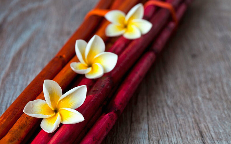 Frangipani Flowers on Sticks