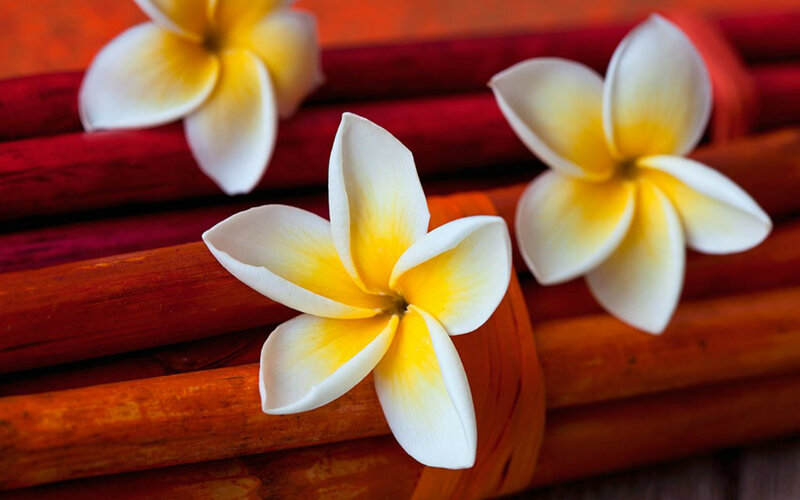Frangipani Flowers on Wood