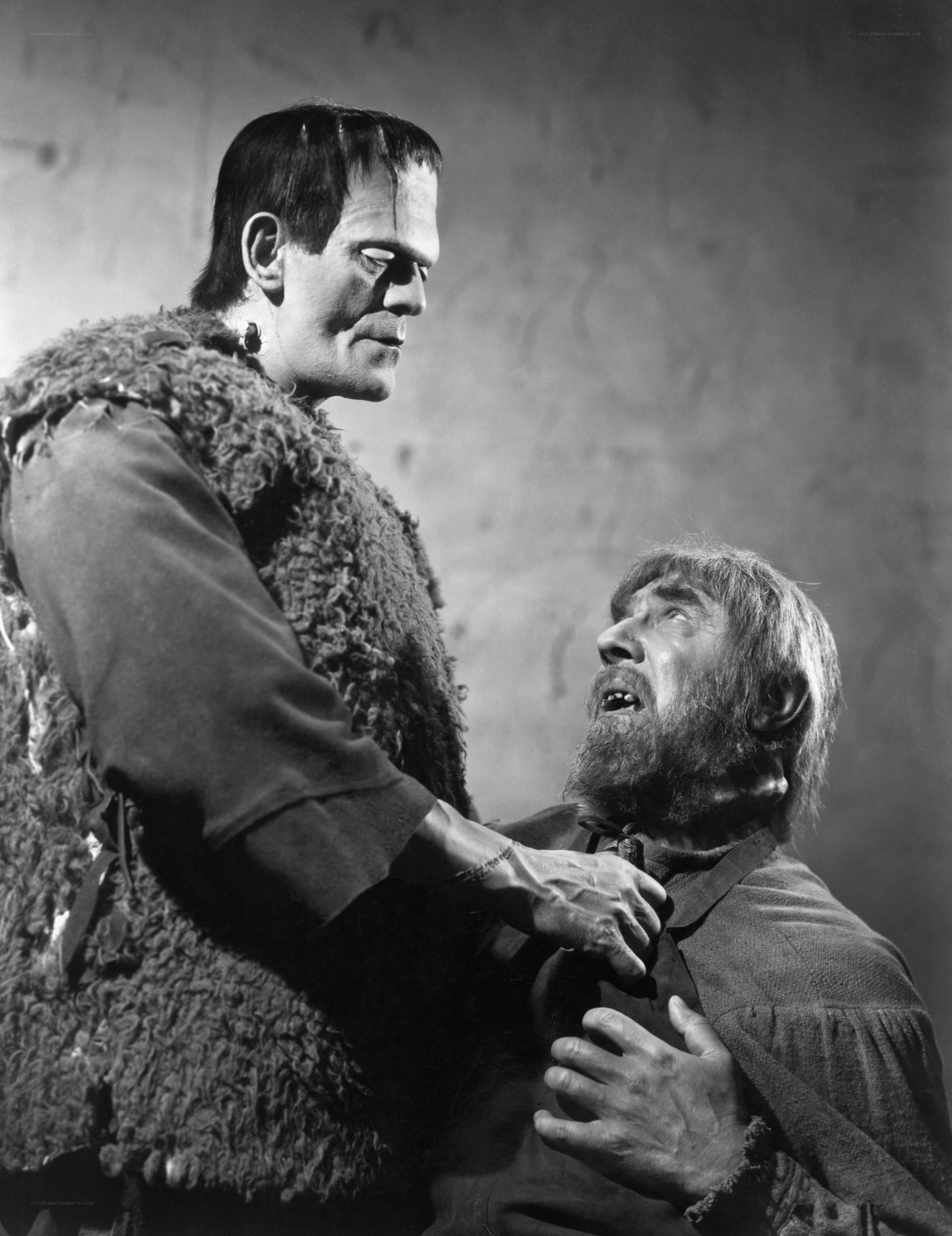 Frankenstein's monster confronts a man